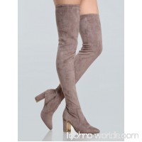 Point Toe Suede Thigh High Booties TAUPE