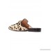 Princetown horsebit-detailed leopard-print calf hair slippers