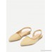 Pointed Toe Straw Flats