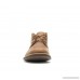 Men's Timberland Stormbuck Chukka Boots